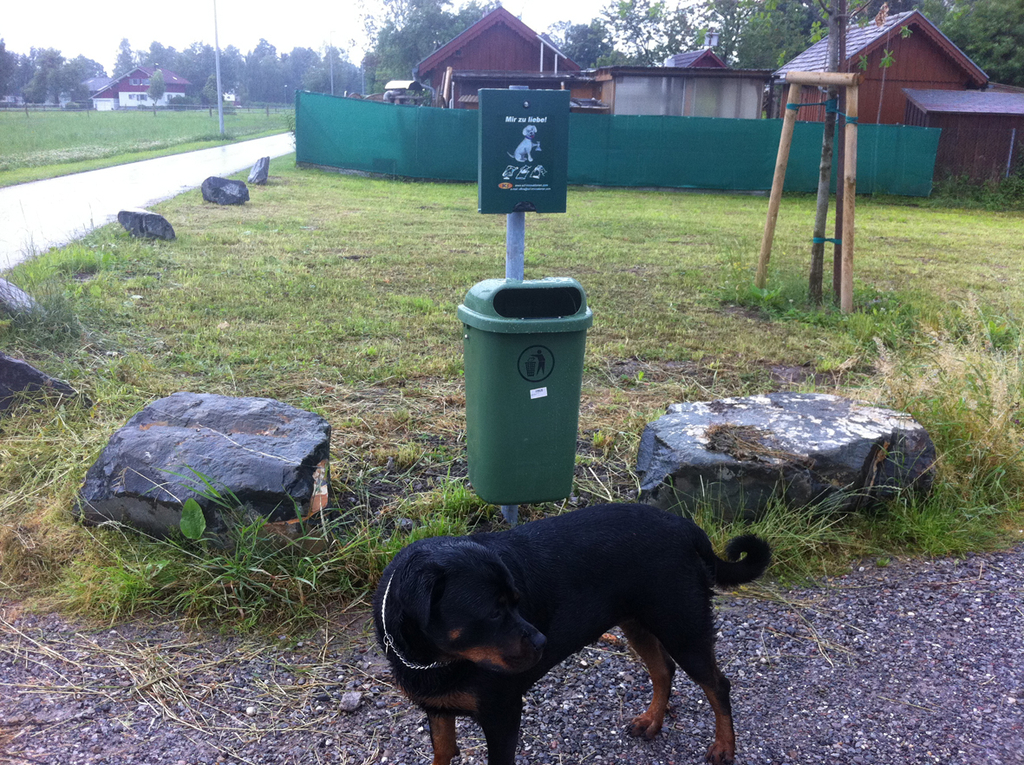 schreber2_jpg-1307723776