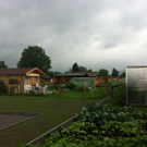 schreber2a_jpg-1307723795