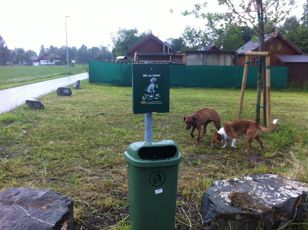 schreber1_jpg-1307723966