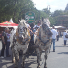 10062011689.JPG