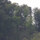 normal_10062011forstffaktivnews_20.jpg