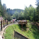 IMG_5202_jpg-1307775946