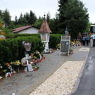 IMG_5782_jpg-1307776164
