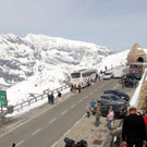 IMG_5990_jpg-1307776231