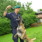 Polizeihunde47.jpg