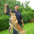 Polizeihunde48.jpg