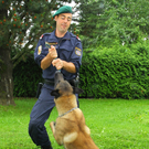 Polizeihunde49.jpg