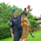 Polizeihunde44.jpg