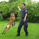 Polizeihunde43.jpg