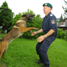 Polizeihunde27.jpg
