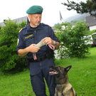 Polizeihunde24.jpg