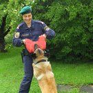 Polizeihunde12.jpg