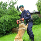 Polizeihunde17.jpg