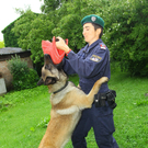 Polizeihunde10.jpg