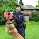 Polizeihunde15.jpg