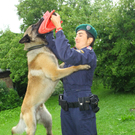 Polizeihunde11.jpg