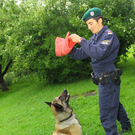 Polizeihunde09.jpg