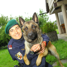 Polizeihunde05.jpg