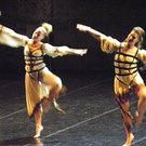 111_3249_JPG-1307832799