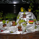 Bild 100_jpg-1307833859