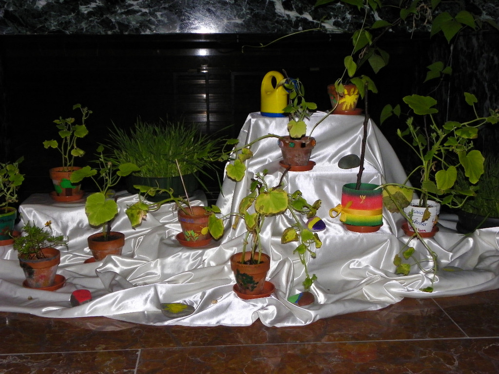 Bild 100_jpg-1307833859