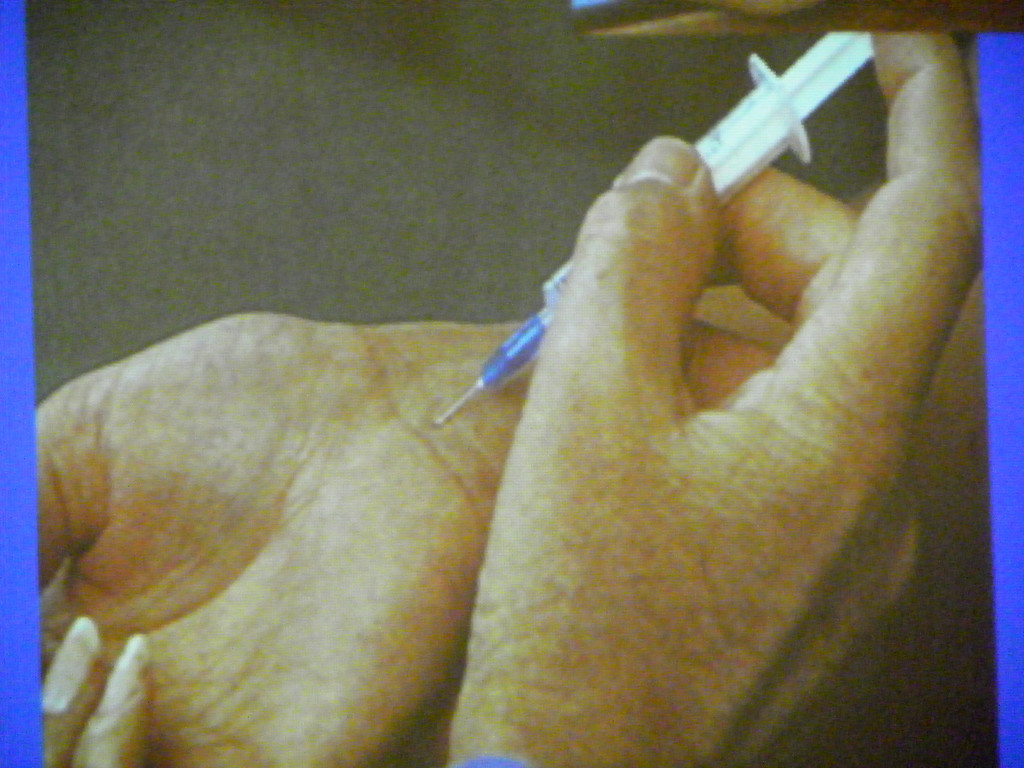 Bild 023_jpg-1307838956