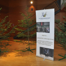 DSC_0015 - Kopie_JPG-1307868478