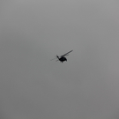 11062011springenrlffaktivnews_62.jpg