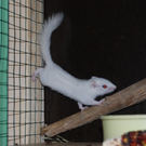 DSC_0088_JPG-1307879463
