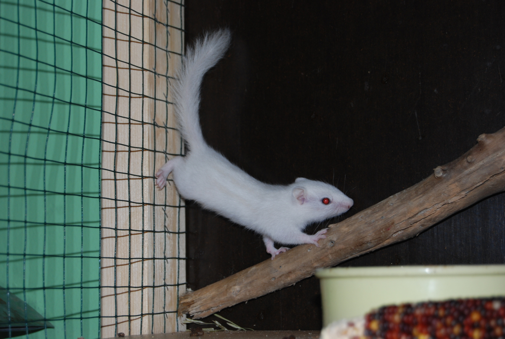 DSC_0088_JPG-1307879463