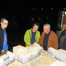 Bild 228_jpg-1307889621