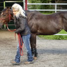 pferd1_jpg-1307897138
