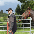 pferd9_jpg-1307897294