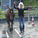 pferd10_jpg-1307897321