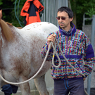 pferd12_jpg-1307897371