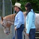 pferd18_jpg-1307897494
