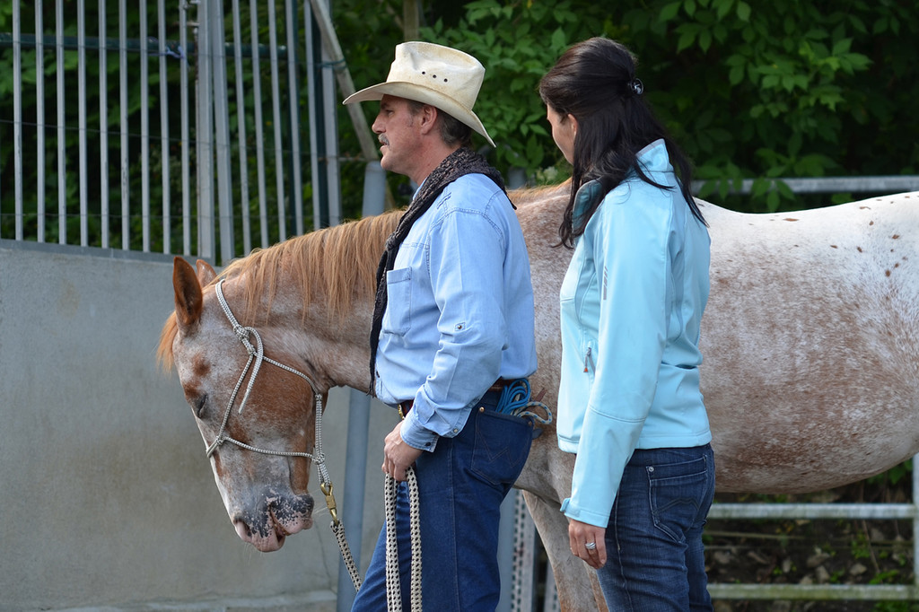 pferd18_jpg-1307897494