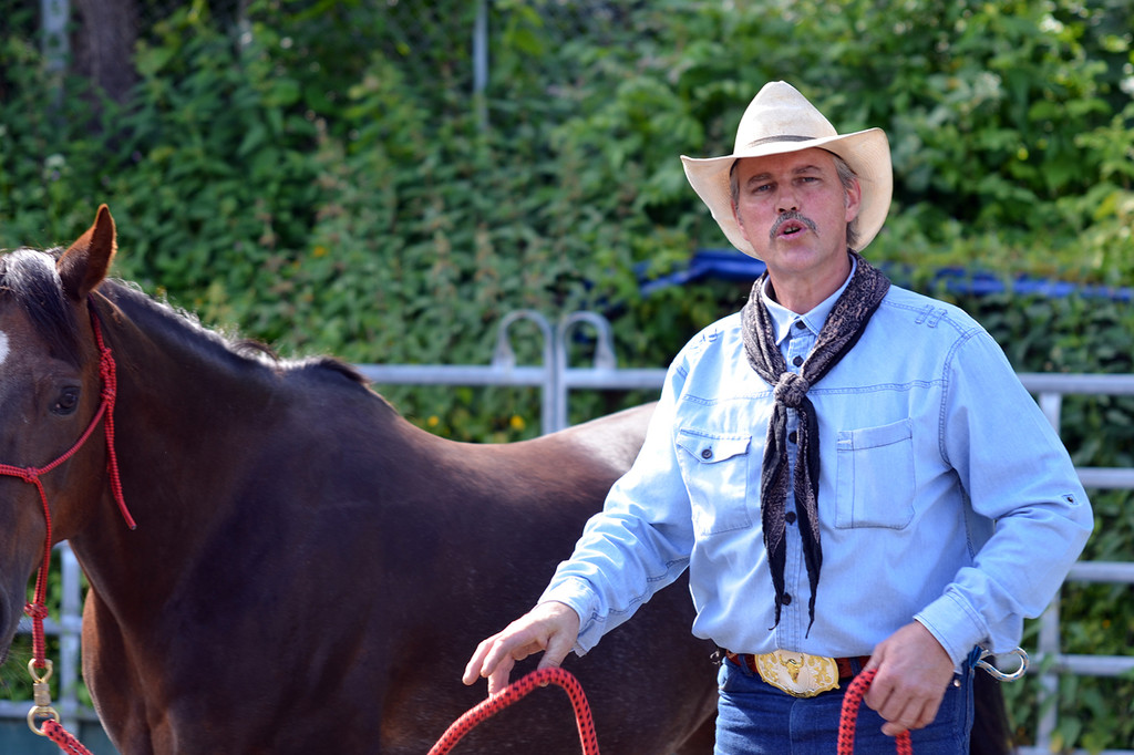 pferd30_jpg-1307897567