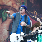 black rose cherry - Nova Rock 2011 - Nickeldorf - florian wieser-16.jpg