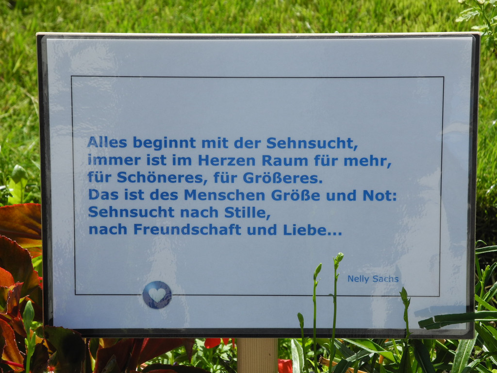 DSCN8717_JPG-1307952463