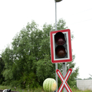 Schaubremsung
