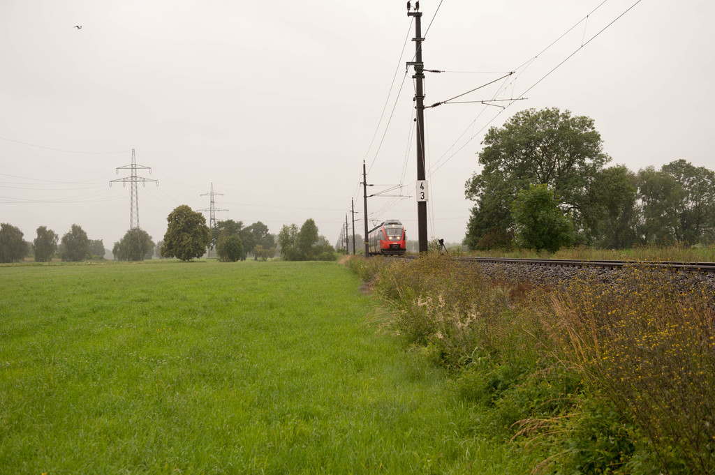 DSC_4999_jpg-1307953180