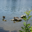 013_JPG-1307957694