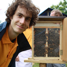 Bienenfest 2011