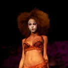 SG_2011_092.jpg