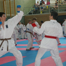 IMGP9542.JPG
