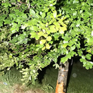 normal_13062011vub20ffaktivnews_18.jpg