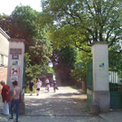 Rettungseinsatz Steinhof 14. Juni 2011