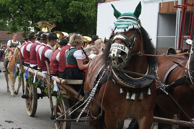 normal_13062011leonhardirittholzhausenkjaktivnews_009.jpg