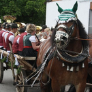 normal_13062011leonhardirittholzhausenkjaktivnews_009.jpg